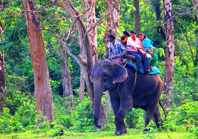 Elephant Riding