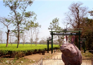 Lataguri Chilapata Buxa Tour