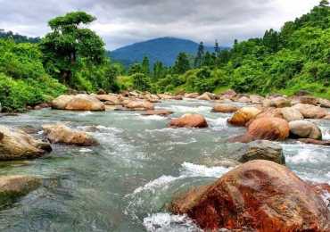 Dooars Lataguri Gorumara Tour Plan for 5 Days