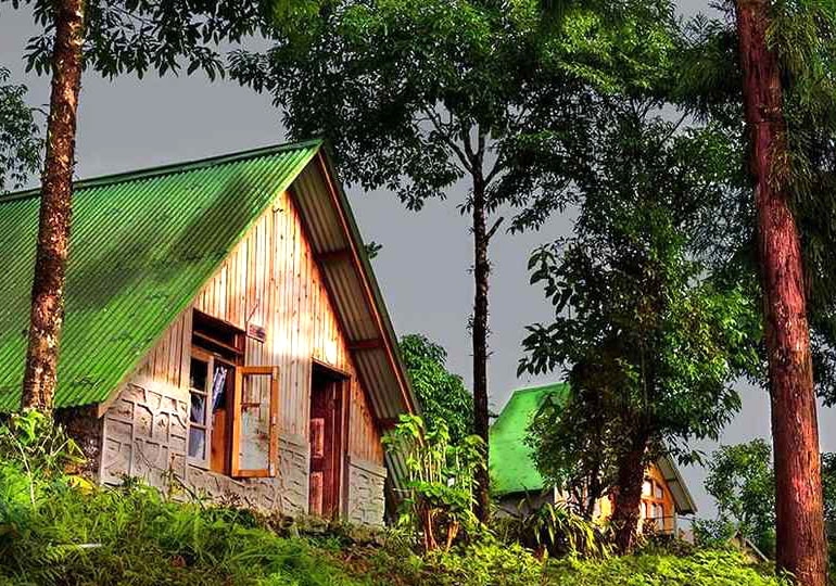 Dooars Tour of Jhandi Damdim Jhallong photo 1