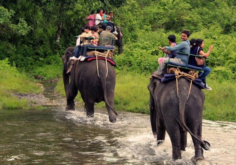 Dooars Jaldapara Gorumara Trip for 3 days photo 1