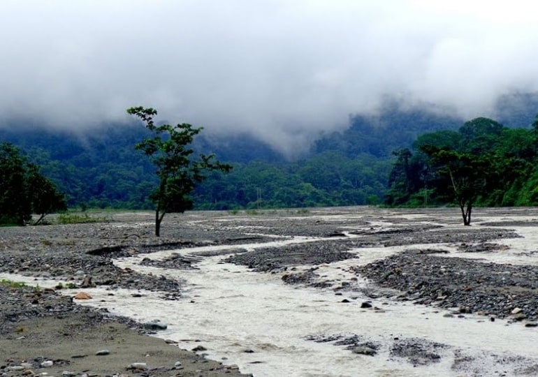 Dooars Tour Plan for 5 days photo 1