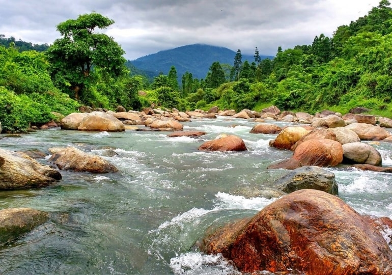 Dooars Lataguri Gorumara Tour Plan for 5 Days photo 1