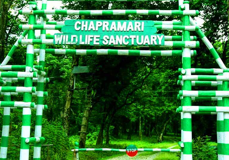 Chapramari Wildlife Sanctuary